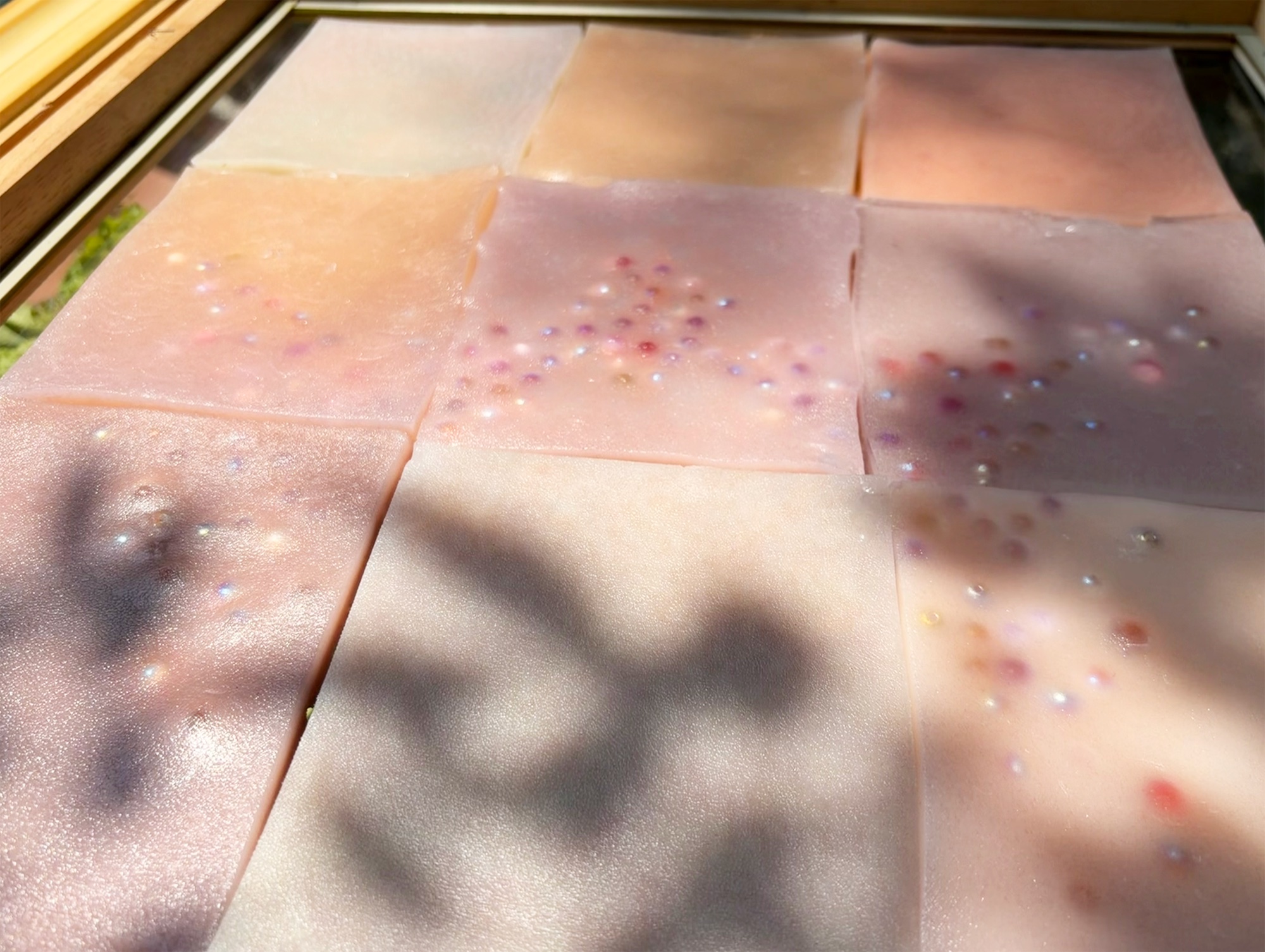 Butterfly Rash — detail 1